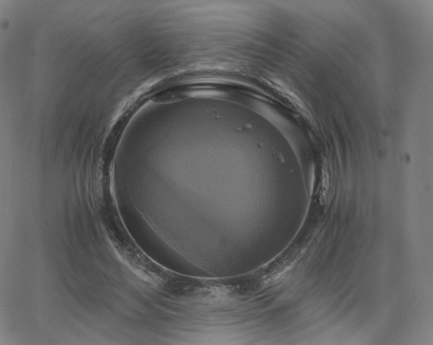 X0000063460492200601201249