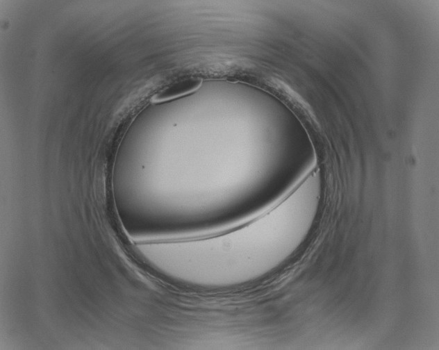 X0000063460493200601201249