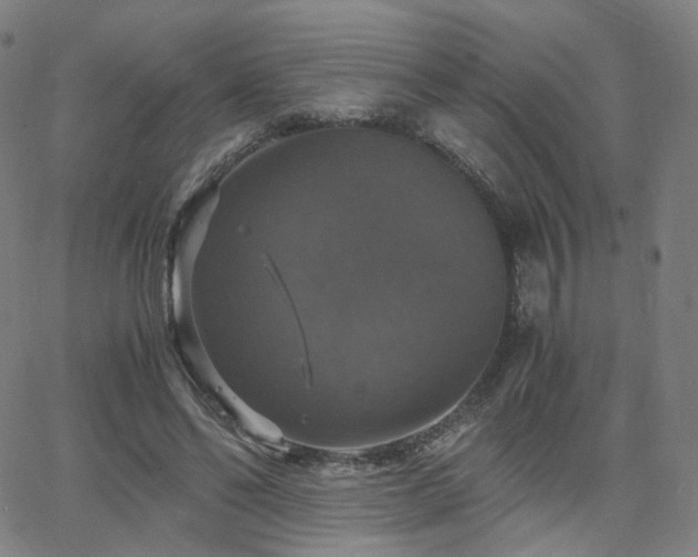 X0000063460494200601201249