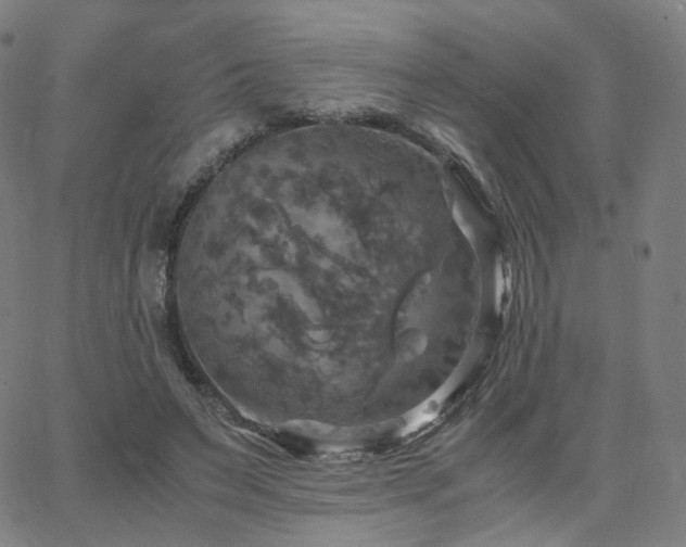 X0000063460495200601201249