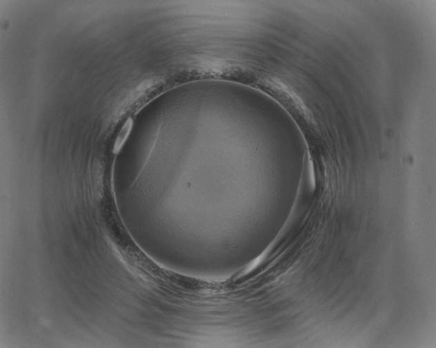 X0000063460496200601201249