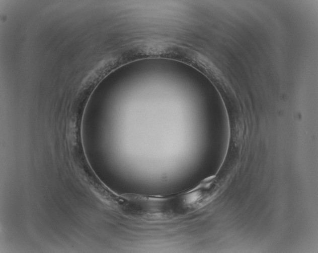 X0000063460497200601201249