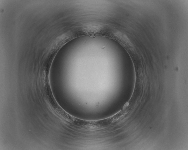 X0000063460498200601201249