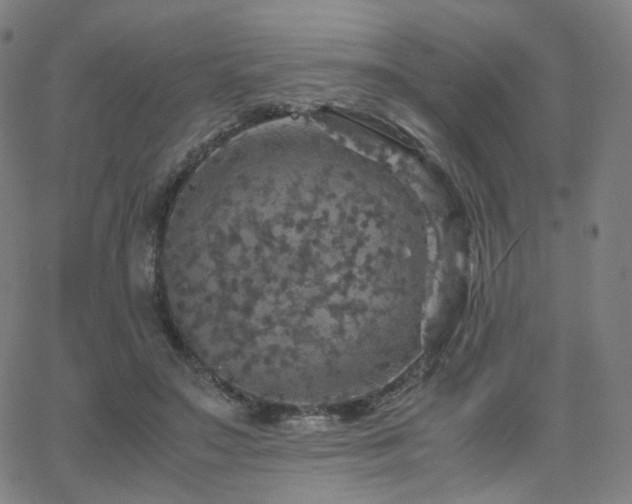 X0000063460499200601201249