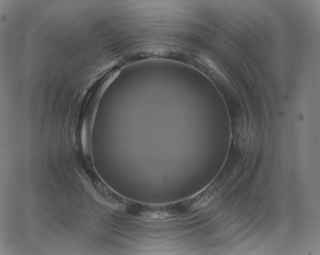 X0000063460500200601201249