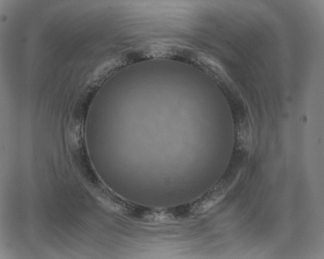 X0000063460503200601201249