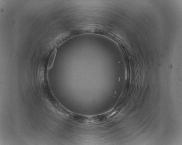 X0000063460504200601201249