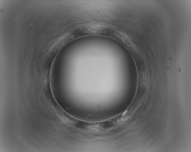 X0000063460505200601201249