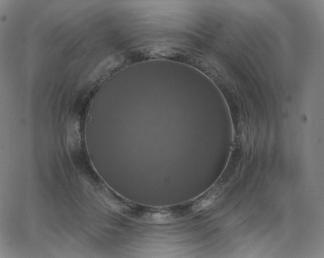 X0000063460506200601201249