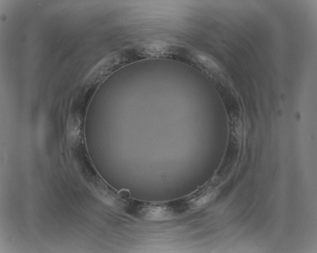 X0000063460507200601201249