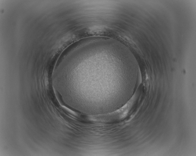 X0000063460508200601201249