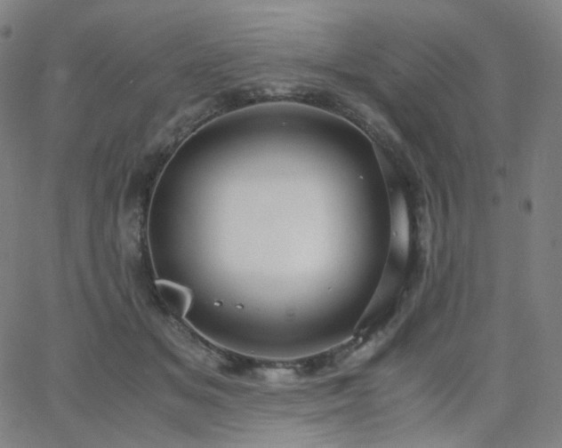 X0000063460509200601201249