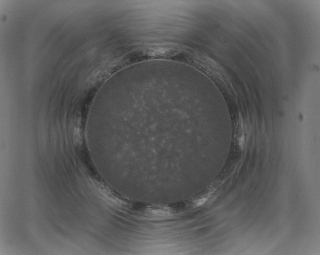 X0000063460510200601201249