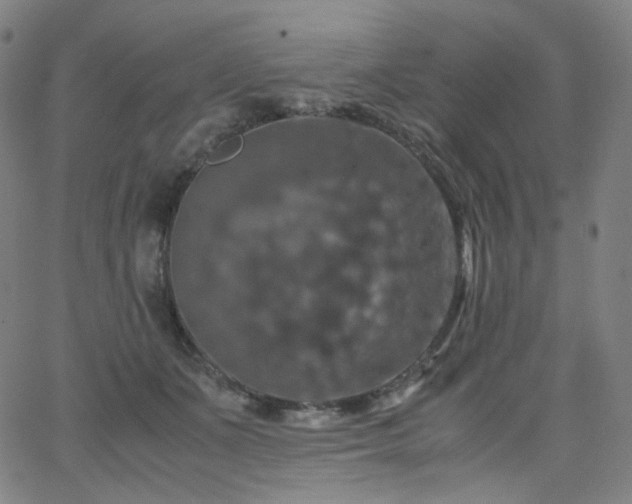 X0000063460511200601201249