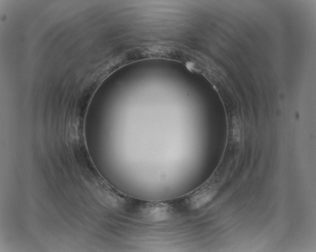 X0000063460514200601201249