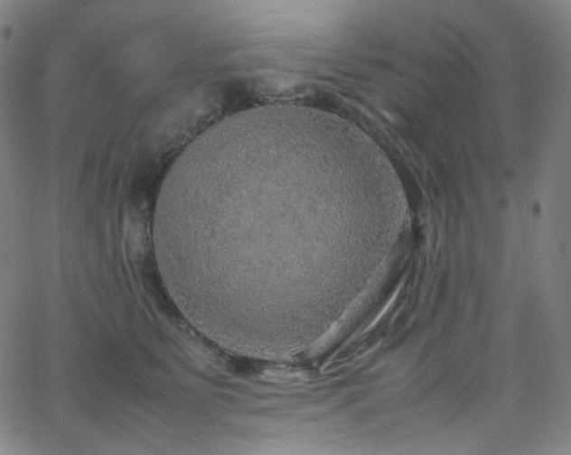 X0000063460515200601201249