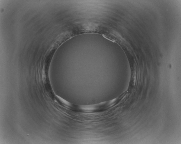 X0000063460516200601201249