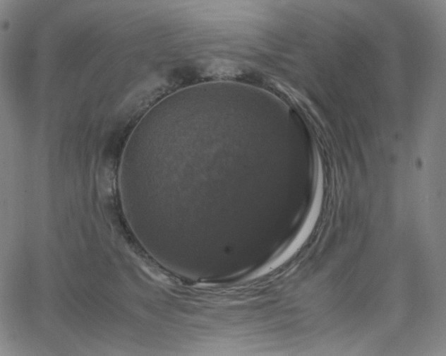 X0000063460517200601201249