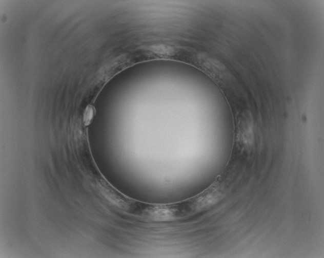 X0000063460518200601201249