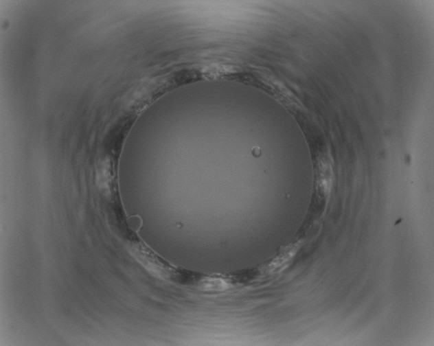 X0000063460519200601201249