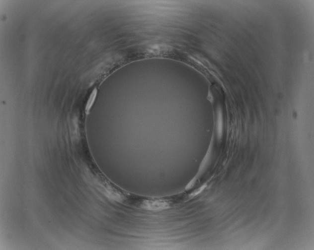 X0000063460520200601201249