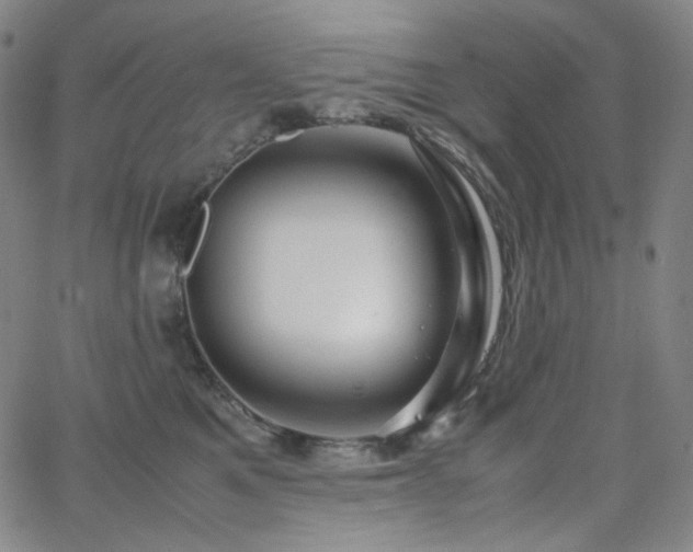 X0000063460521200601201249