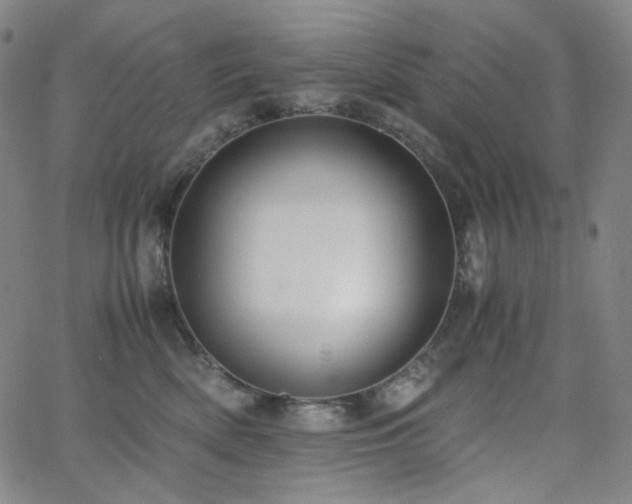 X0000063460522200601201249