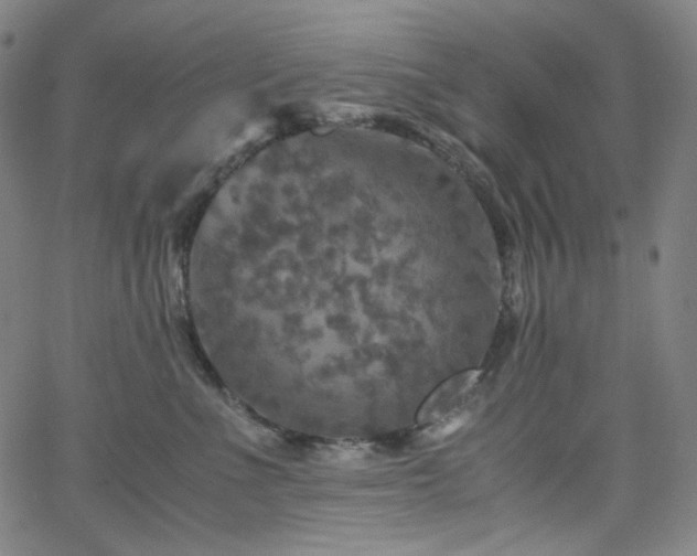 X0000063460523200601201249