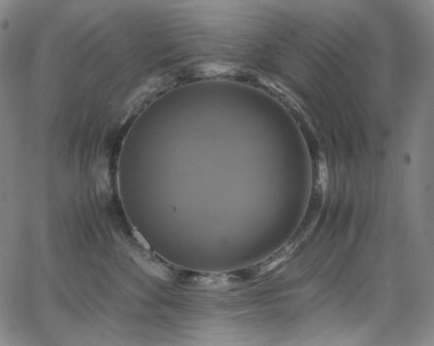 X0000063460524200601201249