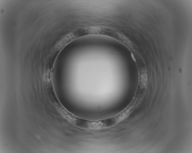 X0000063460525200601201249