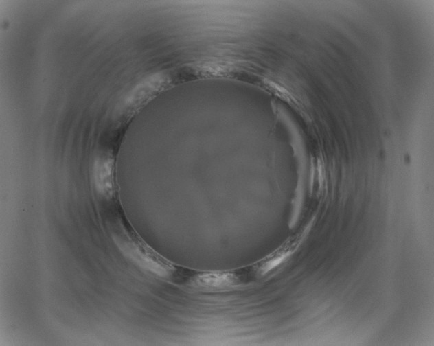 X0000063460526200601201249