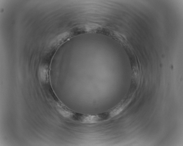 X0000063460527200601201249