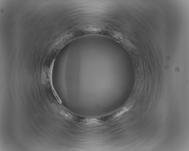 X0000063460528200601201249