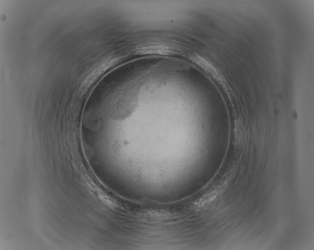 X0000063460529200601201248