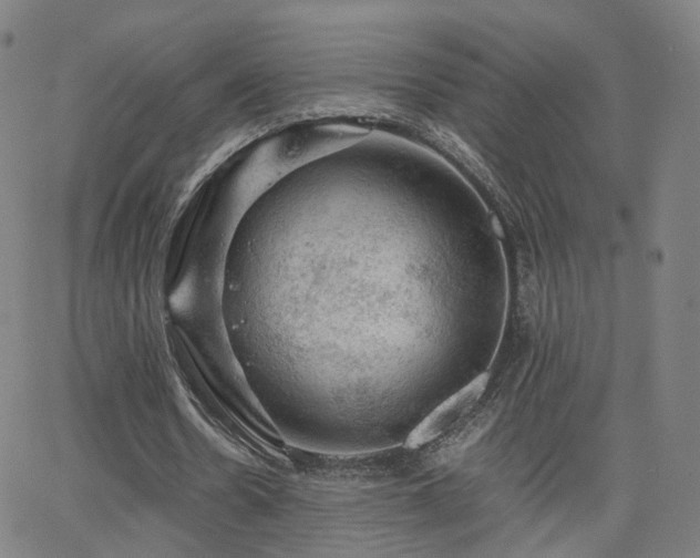 X0000063460530200601201248