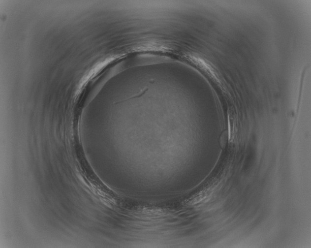 X0000063460531200601201248