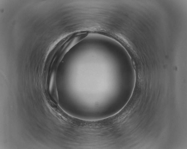 X0000063460532200601201248