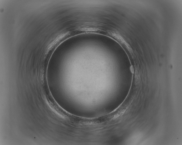 X0000063460533200601201248