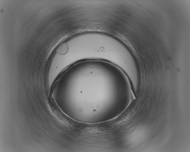 X0000063460534200601201248