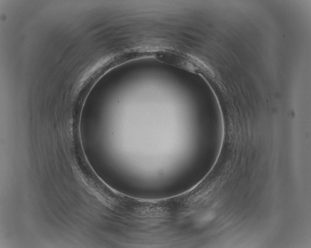 X0000063460535200601201248