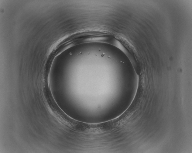 X0000063460536200601201248