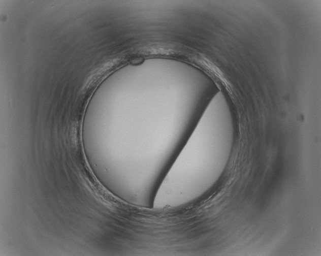 X0000063460537200601201248