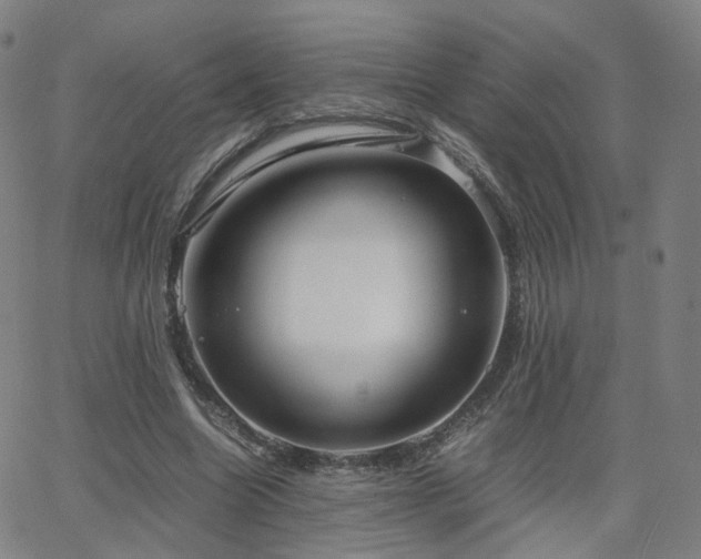 X0000063460538200601201248