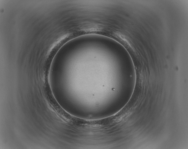 X0000063460539200601201248