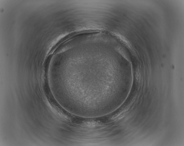 X0000063460540200601201248