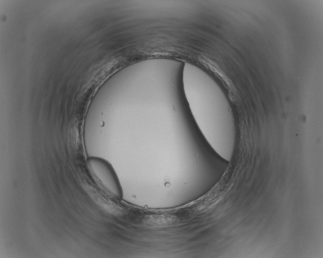 X0000063460541200601201248