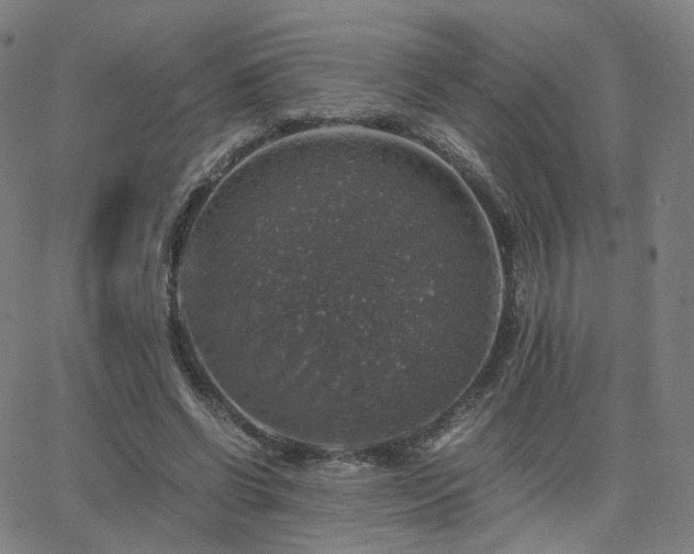 X0000063460542200601201248