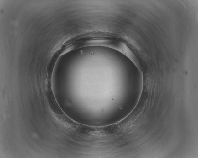 X0000063460544200601201248