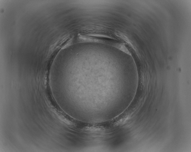 X0000063460545200601201248