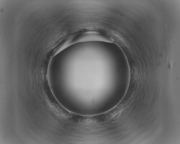 X0000063460546200601201248